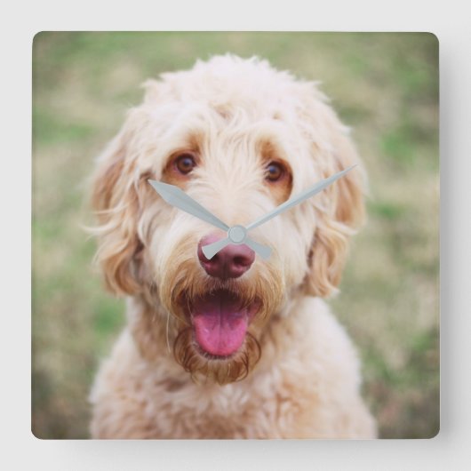 ゴルデンドル·スマイル スクエア壁時計 (正面)