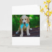 ゴルデンドードルの子犬 カード (黄色い花)