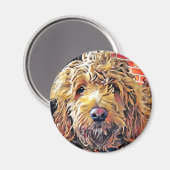 ゴルデンドールドパピー マグネット (正面/裏面)