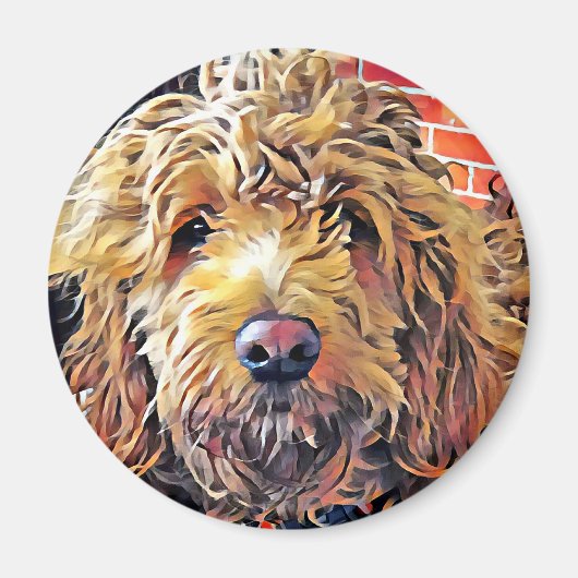 ゴルデンドールドパピー マグネット (正面)