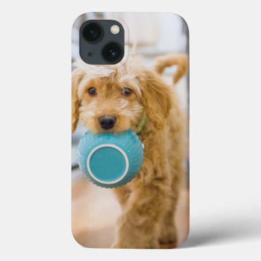 ゴルデンド運ルのディナーボウル Case-Mate iPhoneケース (裏面)