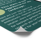 ゴルデンロッドの誤解と事実 ポスター (角)