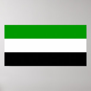 ゴルノ・バダフシャン国旗州タジキスタン地域共催 ポスター