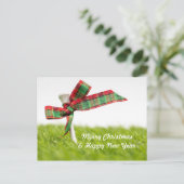 ゴルフのクリスマス&新年、ゴルフボールと松で ポストカード (スタンド正面)