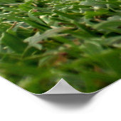 ゴルフのポスター ポスター (角)