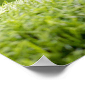 ゴルフは緑の芝生の上にある ポスター (角)