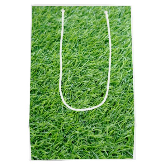 ゴルファー用クリスマスリボン付きゴルフボール  ミディアムペーパーバッグ (裏面)