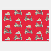 ゴルファー用ゴルフボールカートアイロン ラッピングペーパーシート (正面2)