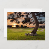 ゴルフコースサンセット ポストカード (正面/裏面)