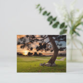 ゴルフコースサンセット ポストカード (スタンド正面)