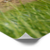 ゴルフコースフロリダポスター ポスター (角)