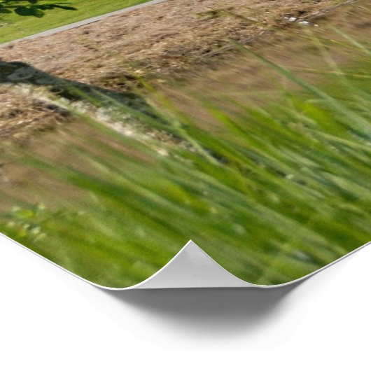 ゴルフコース ポスター (角)