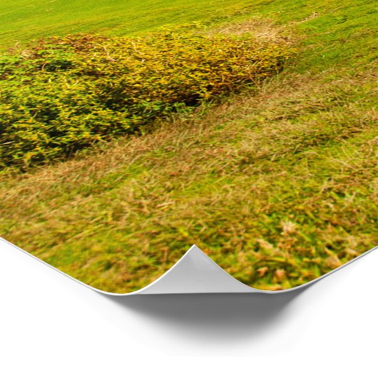 ゴルフコース ポスター (角)