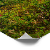 ゴルフコース ポスター (角)