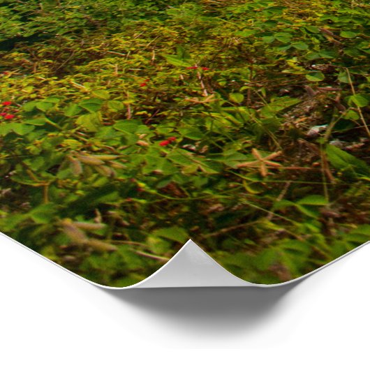 ゴルフコース ポスター (角)