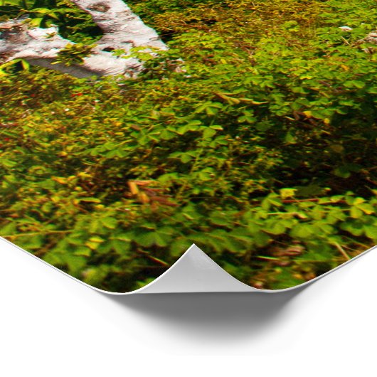 ゴルフコース ポスター (角)