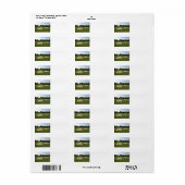 ゴルフサンドトラップ ラベル (フルシート)