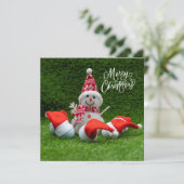 ゴルフボールと雪だるまでゴルフメリークリスマス カード (スタンド正面)