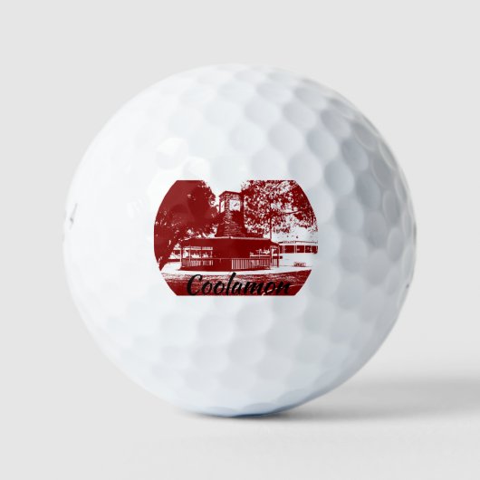 ゴルフボールブリヂストンe6 pk 12 ゴルフボール (正面)