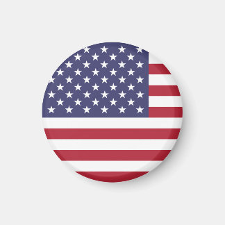 ゴルフボールマーカー用磁石 マグネット