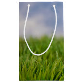 ゴルフボール誕生日 スモールペーパーバッグ (裏面)