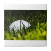 ゴルフボール隠しリミックス タイル (正面)