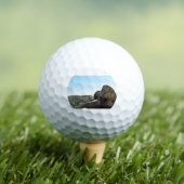 ゴルフボール (インサイチュ 木)