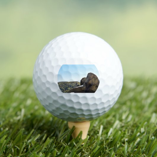 ゴルフボール (インサイチュ 木)