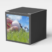 ゴルフボール フェイバーボックス (正面サイド)