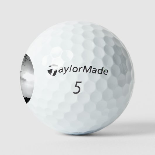 ゴルフボール TAYLOR MADE TP5 (ロゴ)