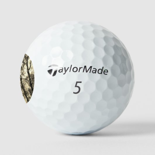 ゴルフボール TAYLOR MADE TP5  (ロゴ)