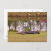 ゴルフ危険 ポストカード (正面/裏面)