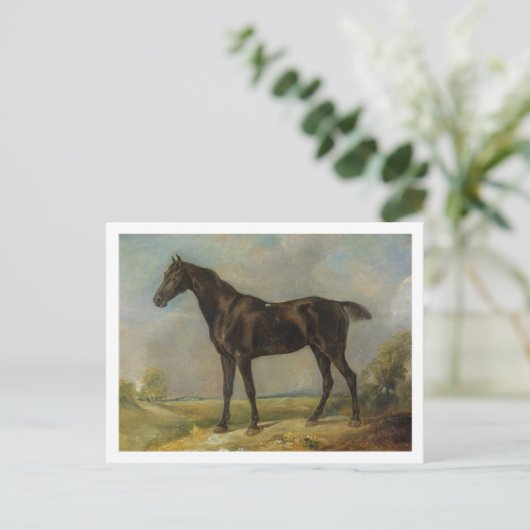 ゴルフ巡査の黒乗馬， c.1805-10 ポストカード (スタンド正面)