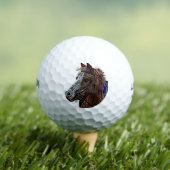 ゴルフ用ボール_本乗 ゴルフボール (インサイチュ 木)