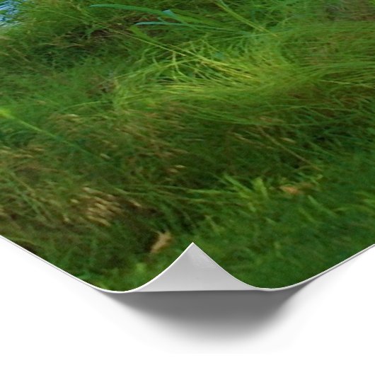 ゴルフ ポスター (角)