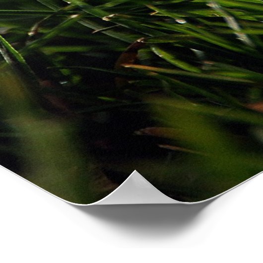 ゴルフ ポスター (角)