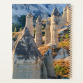 『ゴレメ』 プランナー手帳 (裏面)