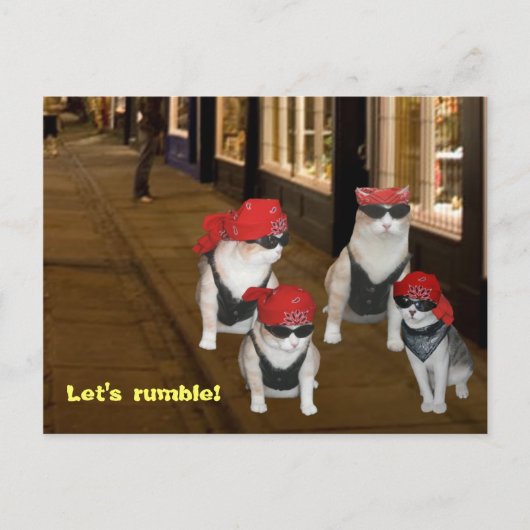 ゴロゴロ言わせよう ポストカード (正面)