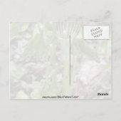 ゴロゴロ ポストカード (裏面)