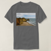 ゴロジブルートとプルシユールの分類 Tシャツ (デザイン正面)