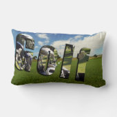 ゴロフラグとボールがグリーンに並んだ腰クッション ランバークッション (裏面)