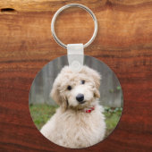 ゴンドゥールの子犬は草の中に座っている キーホルダー (正面)