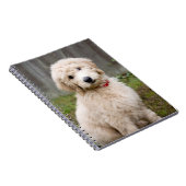 ゴンドゥールの子犬は草の中に座っている ノートブック (右側)