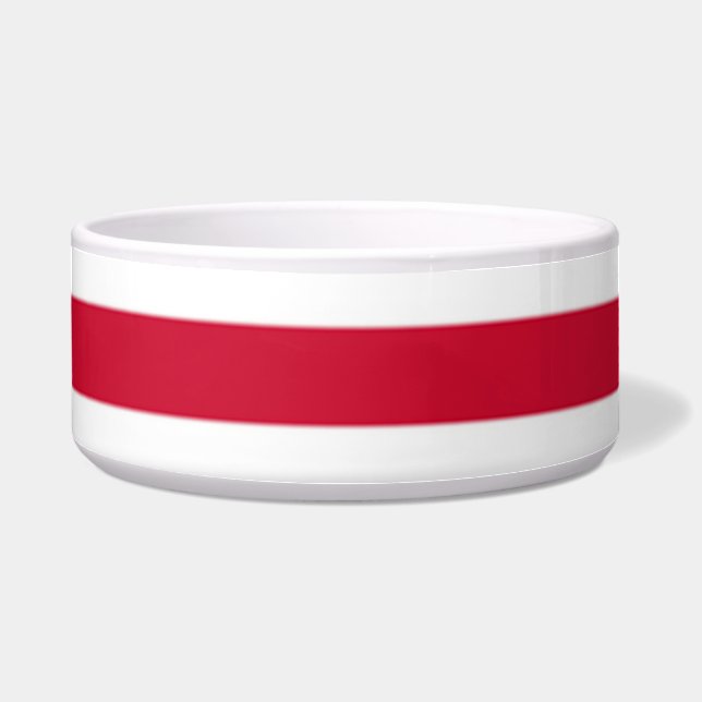 ゴーの国旗 ボウル (正面)