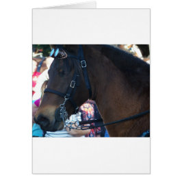 ゴーグルをかけたダークブラウンの馬