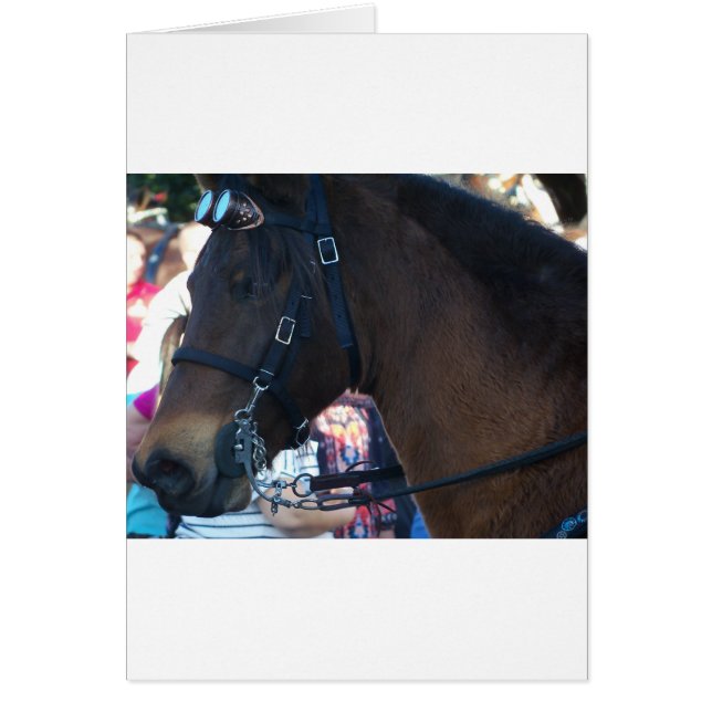 ゴーグルをかけたダークブラウンの馬 (正面)