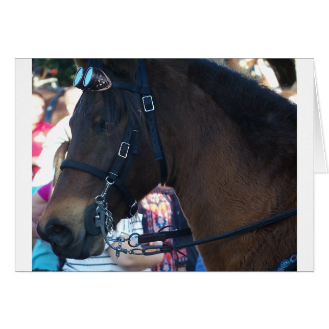 ゴーグルをかけたダークブラウンの馬 (正面横)