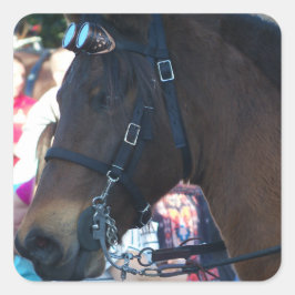 ゴーグルを付けたダークブラウンのアラビア馬 スクエアシール