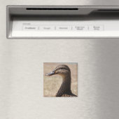 ゴージャスなアヒルのポーズ写真マグネット マグネット (インサイチュ (食洗機))