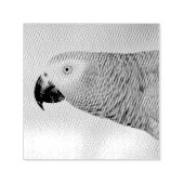 ゴージャスなアフリカ産グレイのオウム セルフインキングスタンプ (デザイン)